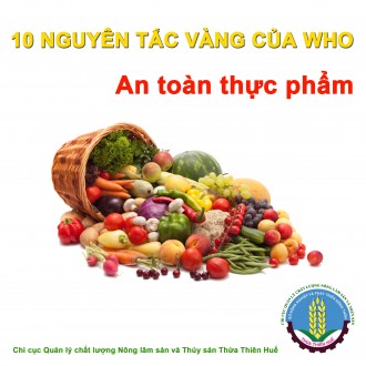 CÙNG HỌC SINH THCS THÁI THỊNH THỰC HIỆN 10 NGUYÊN TẮC VÀNG VỀ AN TOÀN THỰC PHẨM!